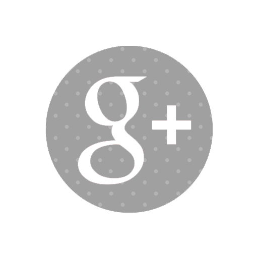 Google+ Vfotografía